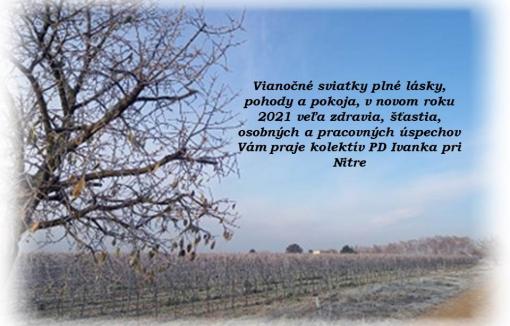 Vianočné prianie